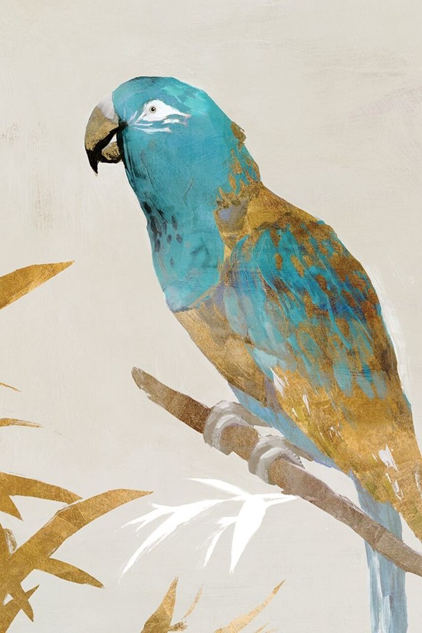 Blue Parrot II Poster Print by Isabelle Z - Item # VARPDXEZ166A